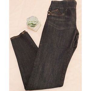 NWOT Rock & Republic 10 Regular Fever Skinny Jeans